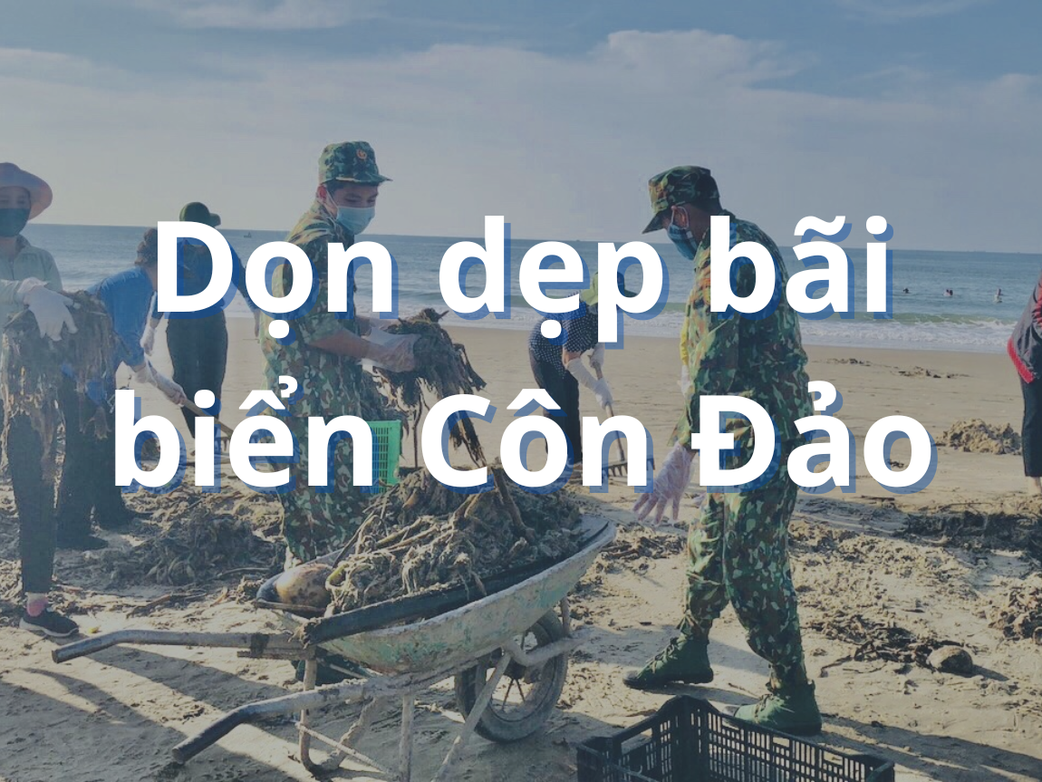 Dọn dẹp bãi biển